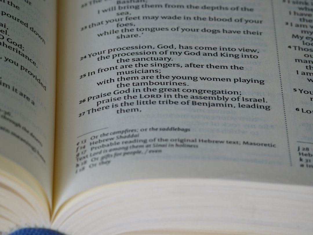 Czym są studia dualne i dla kogo są najlepsze?