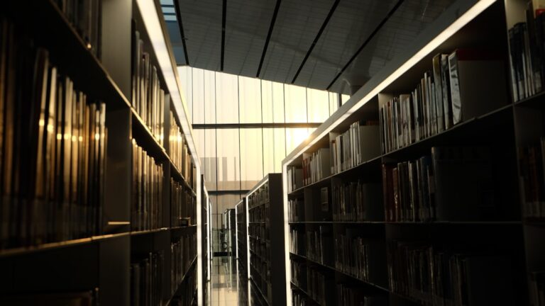 Kierunki studiów przyszłości – na co warto postawić wybierając uczelnię?
